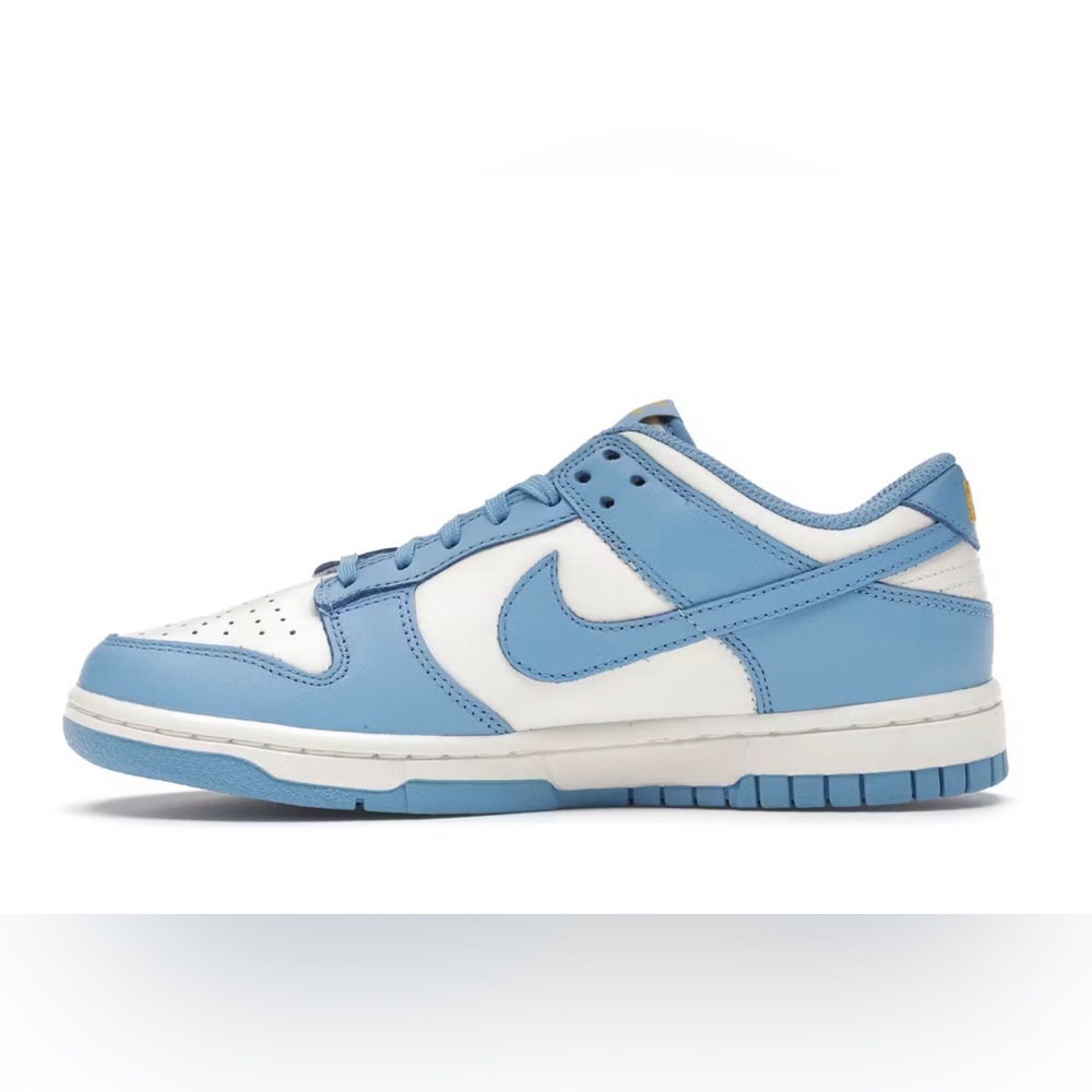 Nike Dunk Coasts